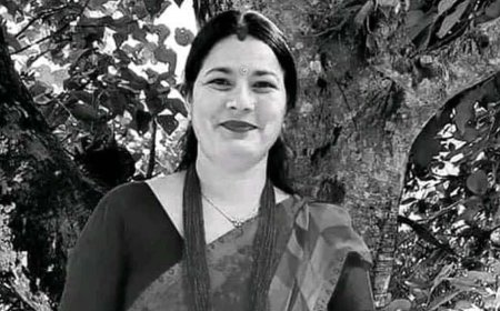 सडकका छाडा साँढेले लियाे सिताकाे ज्यान