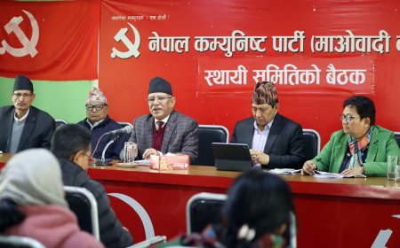 बृहत् वाम एकताका लागि पहल गर्ने प्रचण्डको प्रस्ताव