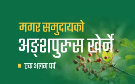 मगर समुदायकाे एक छुट्टै पर्व:  अङ्सपुरुस खेर्ने  ।