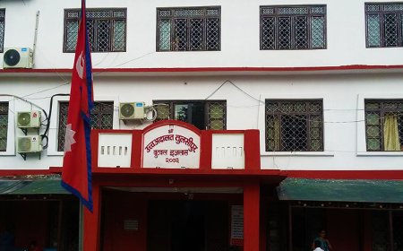 बुटवलको भान्जा स्टोर्स विरुद्ध राजस्व चुहावट सम्बन्धी मुद्दा : तीन करोड बढी बिगो मागदावी ।