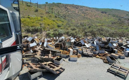 २५ करोड मौरी भागेपछि सावधानी अपनाउन अमेरिकी प्रहरीको चेतावनी