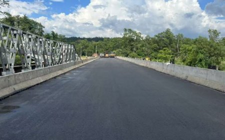 दुम्कीबास विनयीखाेलाकाे पुलमा भाेलिबाट गाडी चल्ने ।