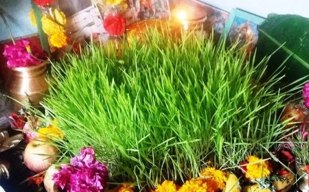 आज बडा दशैं : हर्षोल्लासका साथ टिका र जमरा ग्रहण गरेर मनाईदै