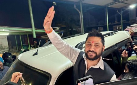 रवि लामिछाने आज रिहाइ हुँदै