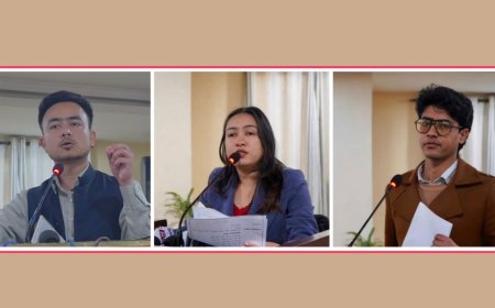 सर्वपक्षीय सरकार र संविधान पुनर्लेखन आजको अपरिहार्य निकास : जेन्जी अगुवा