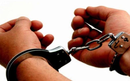 ठगीमा संलग्न व्यक्ति पक्राउ